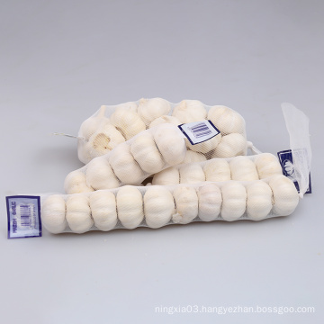China Wholesale 4.5cm-7.5cm Natural Organic Fresh Garlic Price